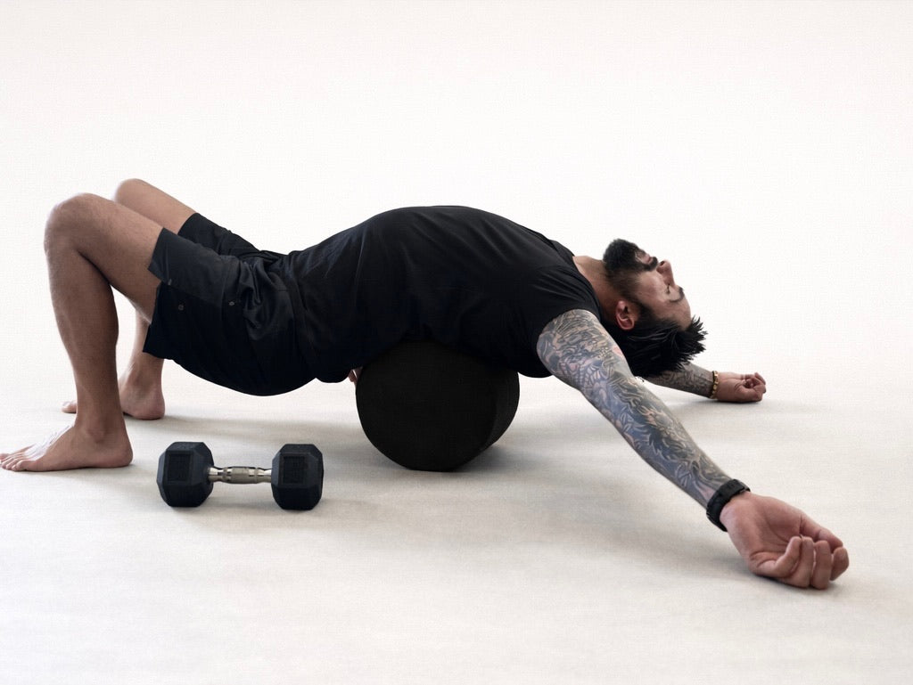 The Halo Platform | Pre-Order (Ships March 2026)